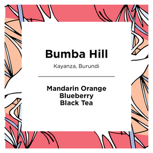 Bumba Hill | Burundi | Honey