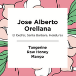 Jose Alberto Orellana | Honduras | Washed